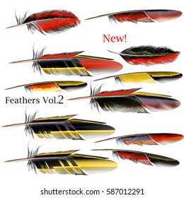 Collection of red and yellow realistic vector feathers for design