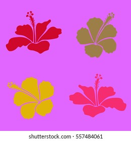 Collection of red, yellow and violet hibiscus flowers. Vector sketch with set of four hibiscus flowers in red, yellow and violet colors. Hand drawn flowers.