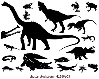 Collection of reptiles