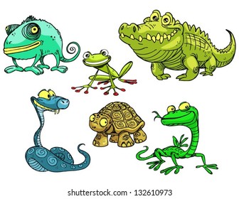 Collection of reptiles and amphibians