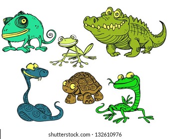 Collection of reptiles and amphibians