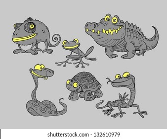 Collection of reptiles and amphibians