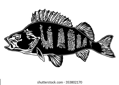 Collection of retro fishing logos with peach fish and fishing rod. Vector illustration can be used for creating logos and emblems for fishing clubs, prints, web and other crafts.