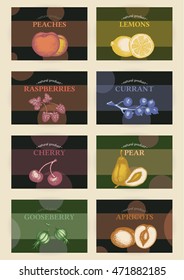 Collection of retro fruit labels vector 