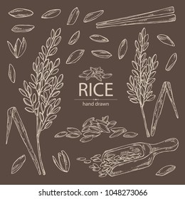 Collection of rice, plant, grain of rice, leaves, chopsticks. Vector hand drawn illustration