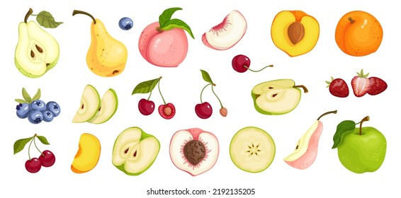 Collection of ripe cherries, strawberries, blueberries and summer fruits pear, apple, peach, apricot. Vector graphics.