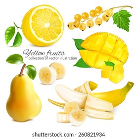 Collection of ripe fresh yellow fruits. Vector illustration 