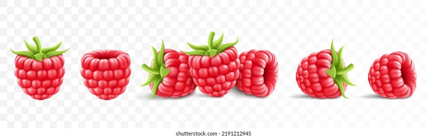 Collection of ripe raspberries isolated on background. Natural summer fruit, realistic 3d vector illustration. Ingredient for juices, jams, yogurts, compotes. Mockup for package design