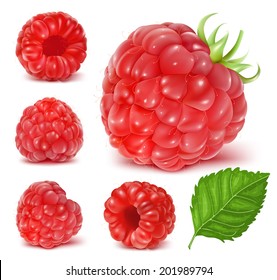 Collection Of Ripe Raspberries. Vector Illustration.