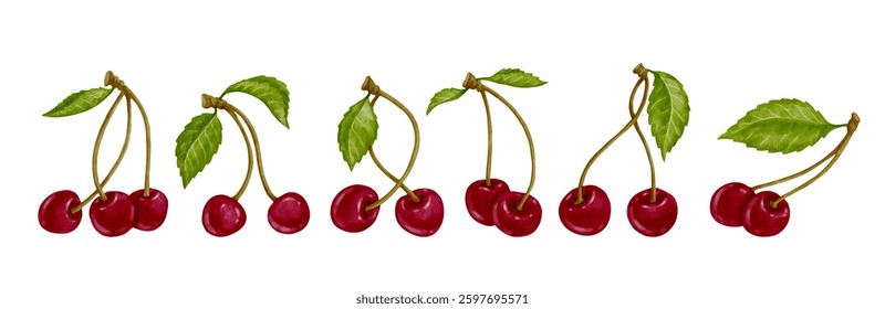 Collection of ripe red cherry berries with green leaves. Vector graphics.