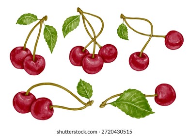 Una colección de cerezas maduras de verano. Gráficos de Vector.
