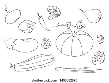 Collection of ripe vegetables on a white background. Vector illustration. 