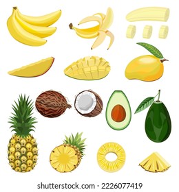 A collection of ripe,juicy fruits pineapples,bananas,avocado,mango,coconut,isolated on a white background.Vector set for designs of cosmetics,food products,restaurant menus,textiles,postcards.