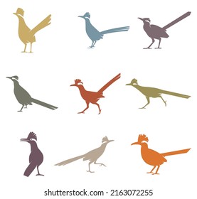 Collection Of Roadrunner Birds Vector Illustration