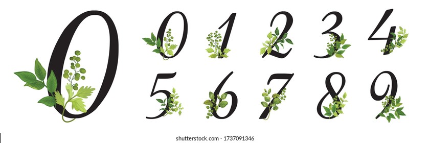 Collection romantic black numbers with drawn watercolor leaves. Elegant digits for book design, brand name, wedding invitation thanks card
