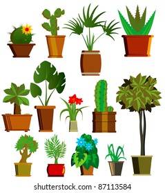 	 Collection room plants