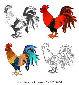 Collection Rooster crowing isolated on white. Roosters painted in different techniques: sketch, outline and colorful. Vector illustration in the style of hand drawing. Isolated on white.