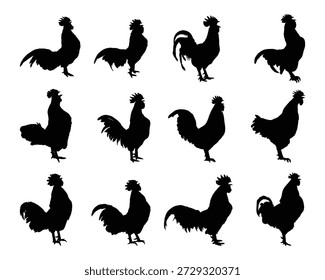 Coleção de Silhuetas de Galo em Várias Poses