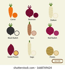 Collection of root veggies illustration vector