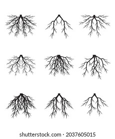 Collection of Roots. Vector outline Illustration. Plant in Garden.