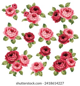 A collection of rose materials ideal for textile design,