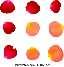 A collection of rose petals. Vector