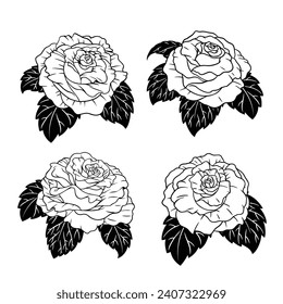 Collection of Roses Flower Hand Drawn