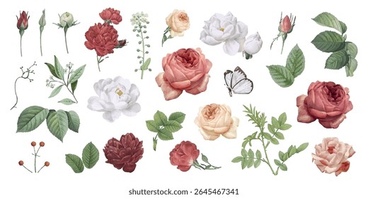 Collection of roses and leaves. Red, pink, and white roses. Green leaves and small flowers. Butterfly among roses. Botanicals with roses and leaves. Spring flower illustrations, isolated vector set.