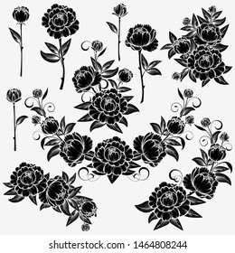 Collection of roses on a white background.  Isolated