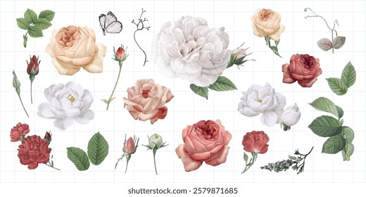 Collection of roses in various colors: white, pink, red. Includes rosebuds, leaves, and a butterfly. Roses and leaves arranged on a grid background. Spring flower illustrations, isolated vector set.