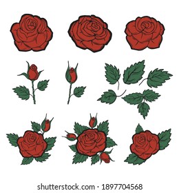 Colección de rosas. Ilustración vectorial.