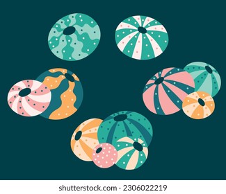 collection of round sea urchins in groups and singles with stripes and dots.