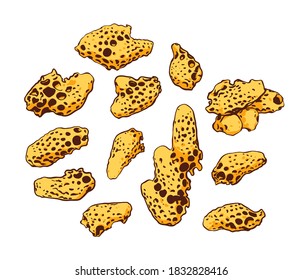 The collection of Royal jelly. Vector illustration on white background.