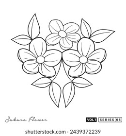 Collection of sakura flower drawings japanese cherry blossoms vector illustration