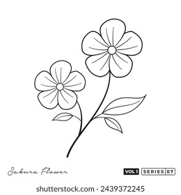 Collection of sakura flower drawings japanese cherry blossoms vector illustration
