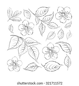 Collection of sakura flowers, set. Cherry blossom bundle. Black flowers of sakura isolated over white. Flowers contours collection. Vector illustration.