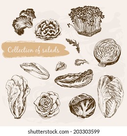 Collection of salads. Set of hand drawn illustrations.