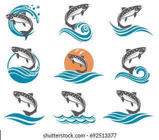 collection of salmon fish images with waves