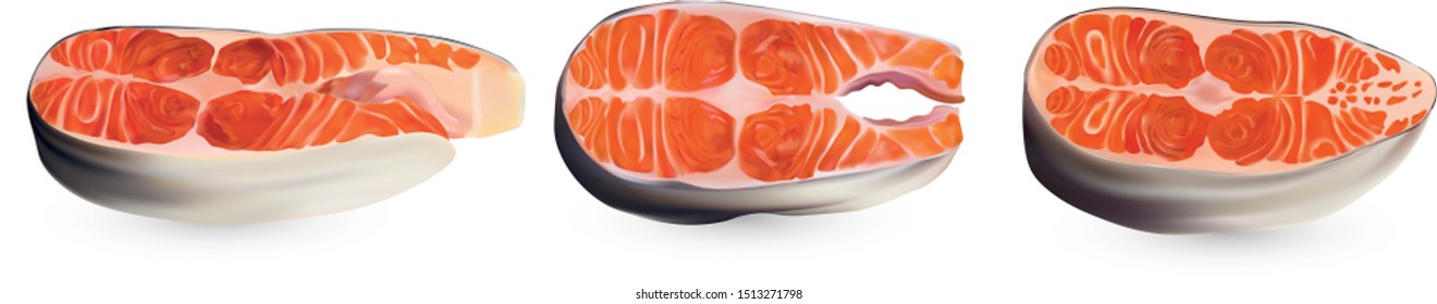 Collection Salmon fish raw steaks. Red fish, delicacy. Fillet, steak of fresh salmon. Seafood for your menu. 3D vector illustration isolated on white background.