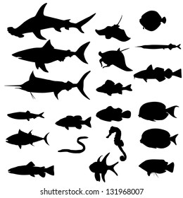 Collection of saltwater fishes isolated on white (Vector)