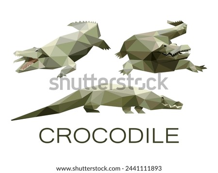Collection of Scary Crocodile in Polygonal Low Poly. Set Abstract Vector f Crocodile . Crocodile Illustration Logo Set
