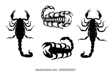 Coleção de silhuetas de escorpião em incluindo postura defensiva, caminhadas e cauda levantada. Formas negras negras em um fundo branco, perfeito para designs de tatuagem, símbolos de perigo, materiais educativos.
