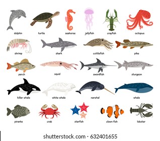 Collection of Sea Animals