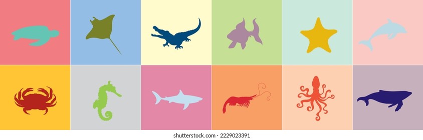 Collection of sea animals in colored frames. Symbol of nature and ocean.