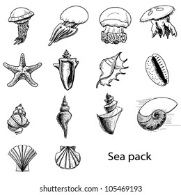 Collection of sea animals. Hand drawing sketch vector illustration