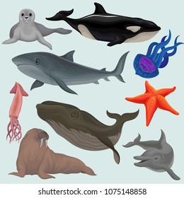 Collection of sea animals, marine fish and creatures walrus, squid, jellyfish, whale, killer, tortoise, seal, starfish vector Illustrations