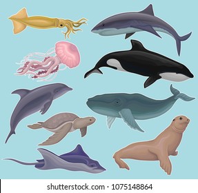 Collection of sea animals, marine fish and creatures squid, jellyfish, whale killer, tortoise, fish, stingray, seal vector Illustrations