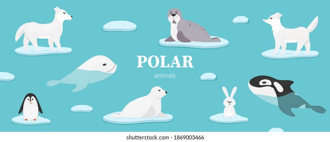 Collection of sea animals for the New Year 2021
Arctic sea animals on ice, penguin, hare, fur seal, wolf, deer, bear, seal, walrus.
Vector illustration
