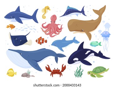 Colección de animales marinos vectores de ilustración plana. Conjunto de divertidos hábitats submarinos aislados. Ballena, tiburón, delfín, pulpo, pez payaso, tortuga, caballito de mar, pescado, medusas, hebilla. Fauna marina