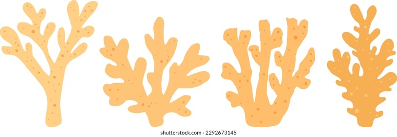 Collection sea coral vector illustration